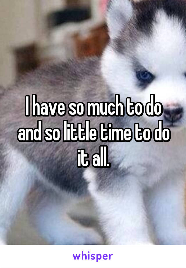 I have so much to do and so little time to do it all.