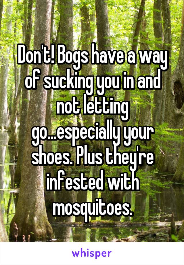 Don't! Bogs have a way of sucking you in and not letting go...especially your shoes. Plus they're infested with mosquitoes.