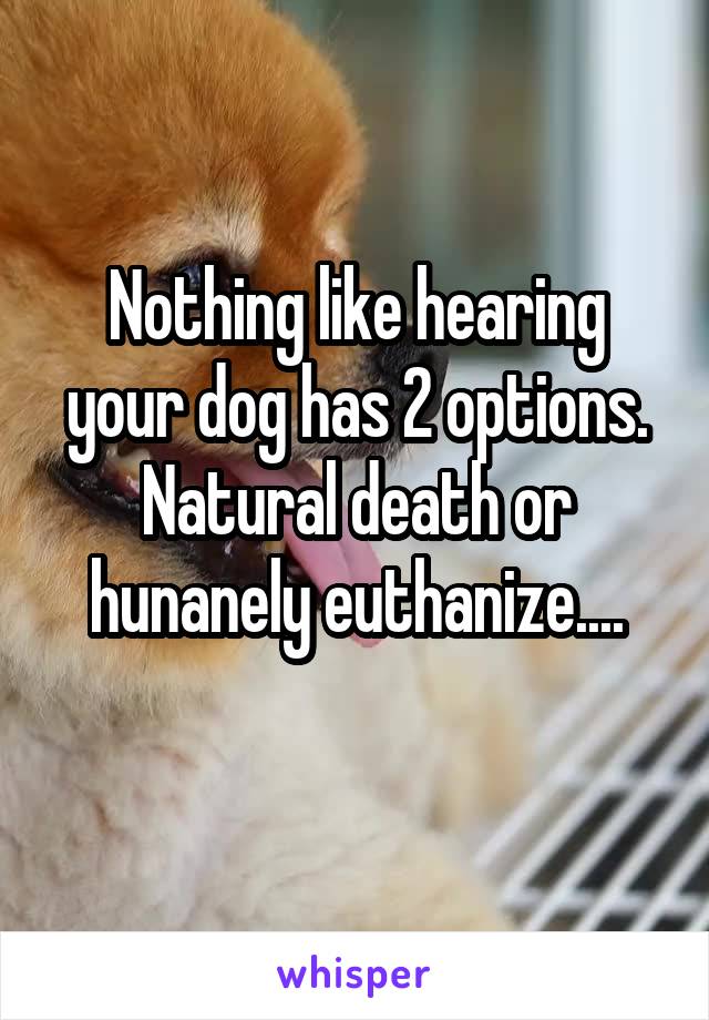 Nothing like hearing your dog has 2 options. Natural death or hunanely euthanize....
