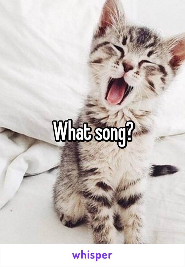 What song?