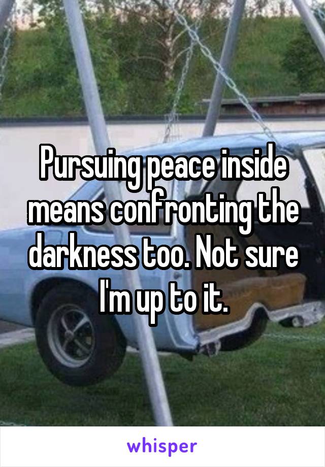 Pursuing peace inside means confronting the darkness too. Not sure I'm up to it.