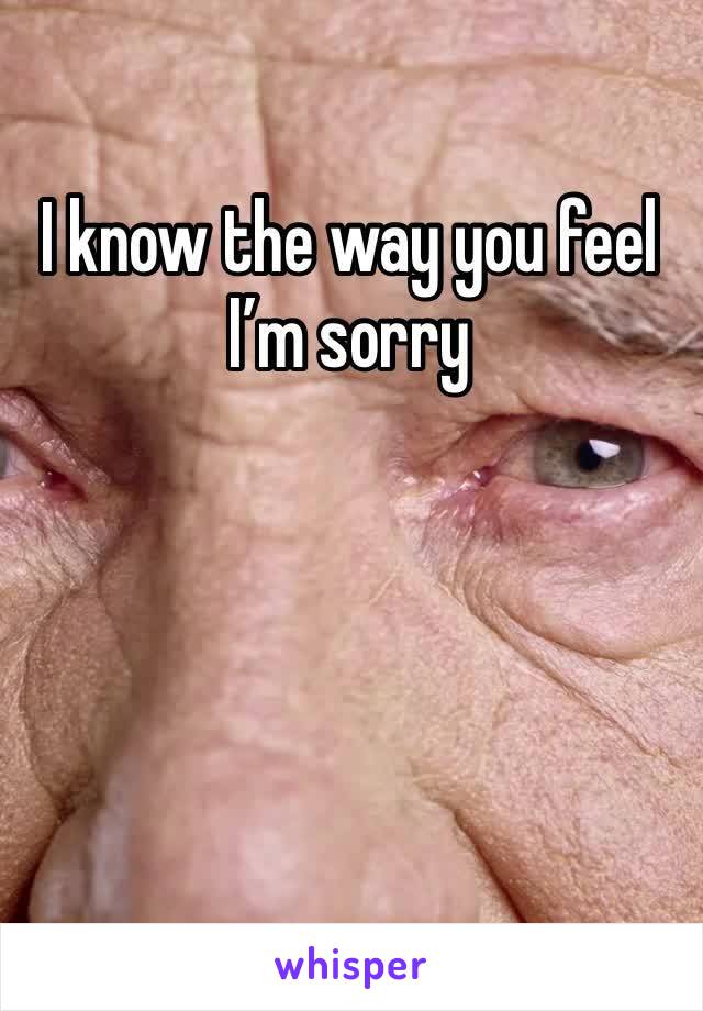 I know the way you feel I’m sorry 