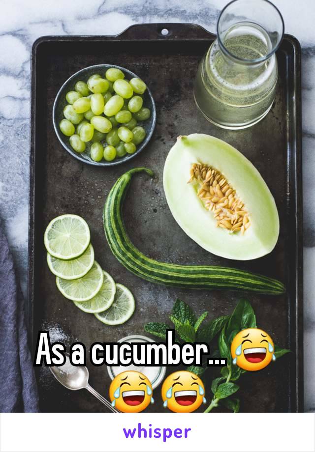 As a cucumber...😂😂😂