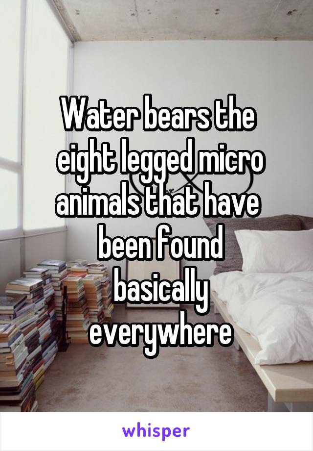 Water bears the
 eight legged micro animals that have
 been found
 basically
 everywhere