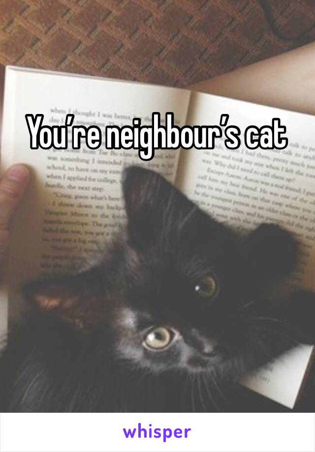 You’re neighbour’s cat