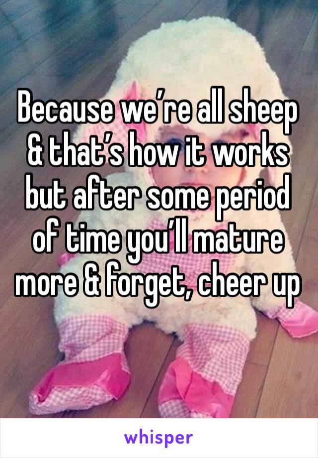 Because we’re all sheep & that’s how it works but after some period of time you’ll mature more & forget, cheer up