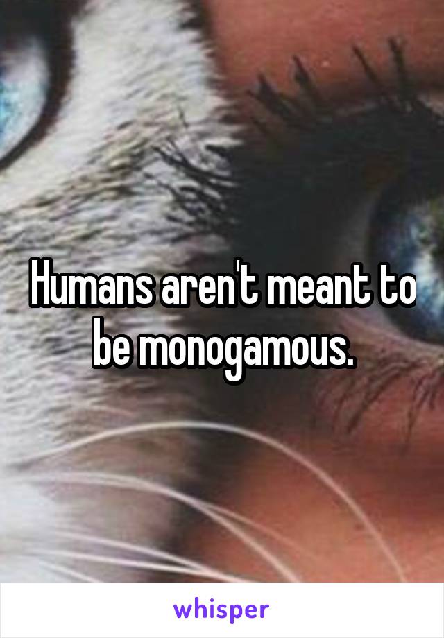 Humans aren't meant to be monogamous.