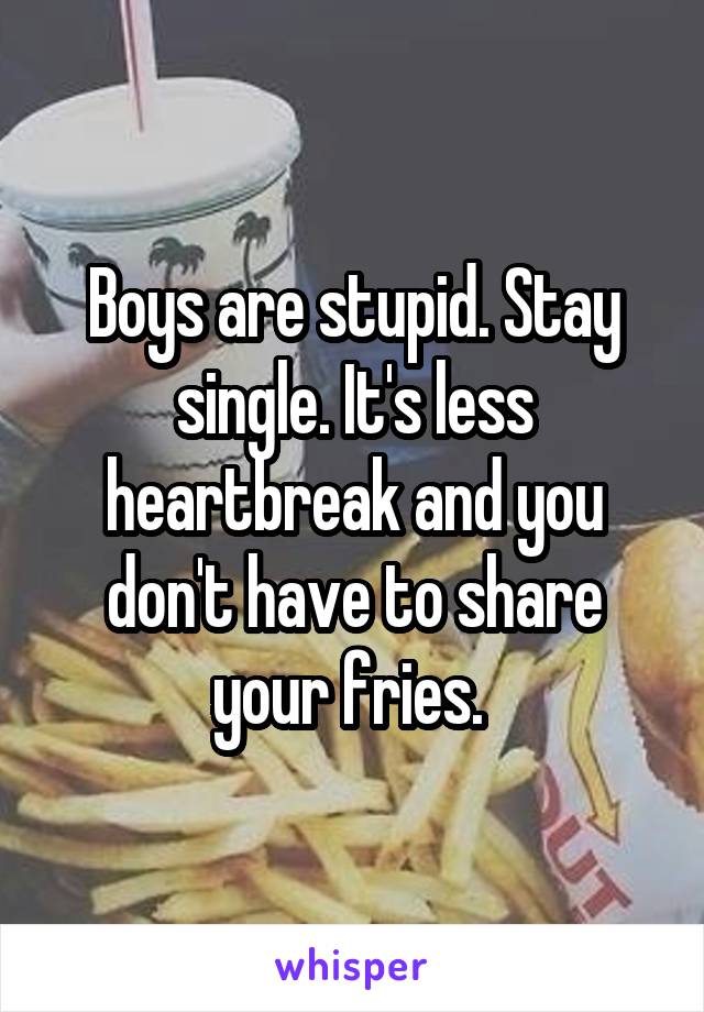 Boys are stupid. Stay single. It's less heartbreak and you don't have to share your fries. 