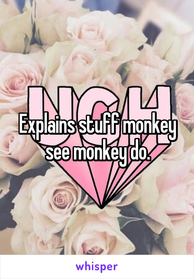 Explains stuff monkey see monkey do.