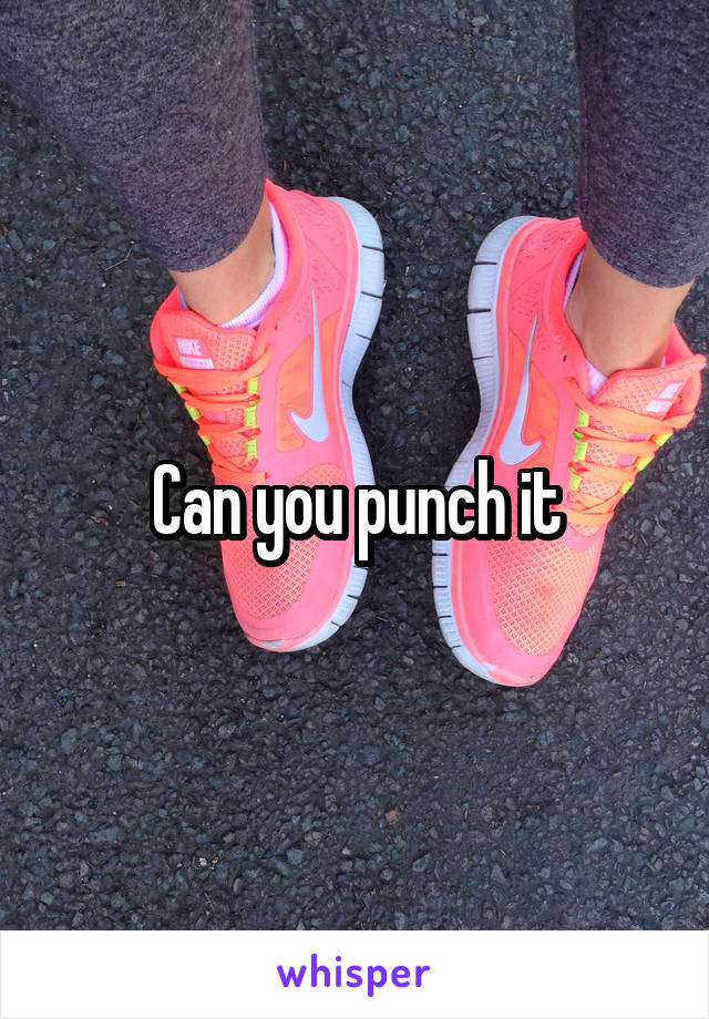 Can you punch it