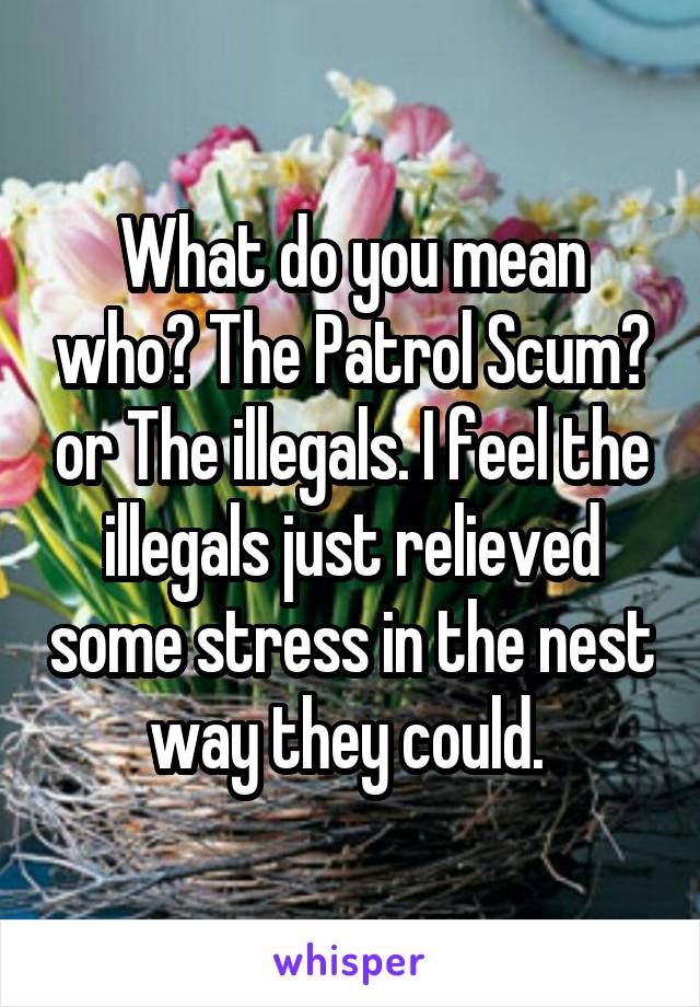 What do you mean who? The Patrol Scum? or The illegals. I feel the illegals just relieved some stress in the nest way they could. 