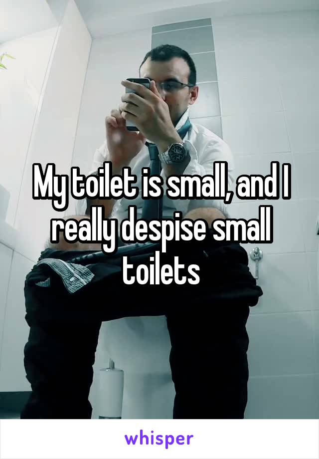 My toilet is small, and I really despise small toilets