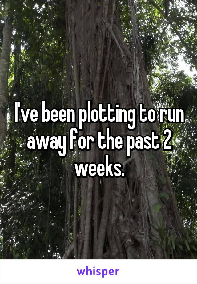 I've been plotting to run away for the past 2 weeks.