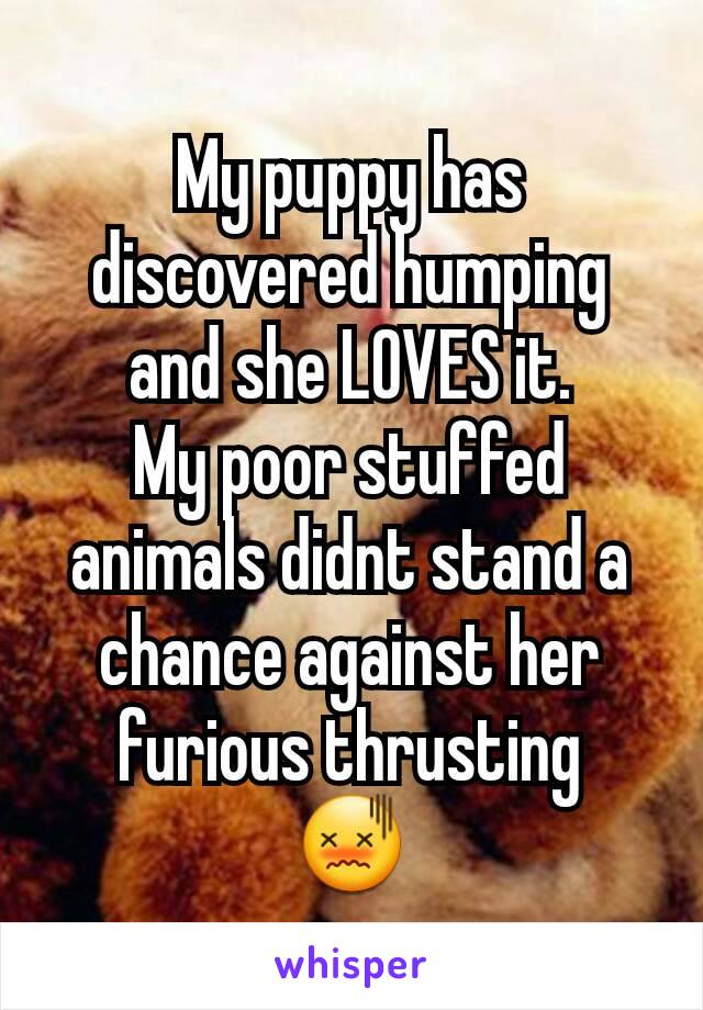 My puppy has discovered humping and she LOVES it.
My poor stuffed animals didnt stand a chance against her furious thrusting
😖