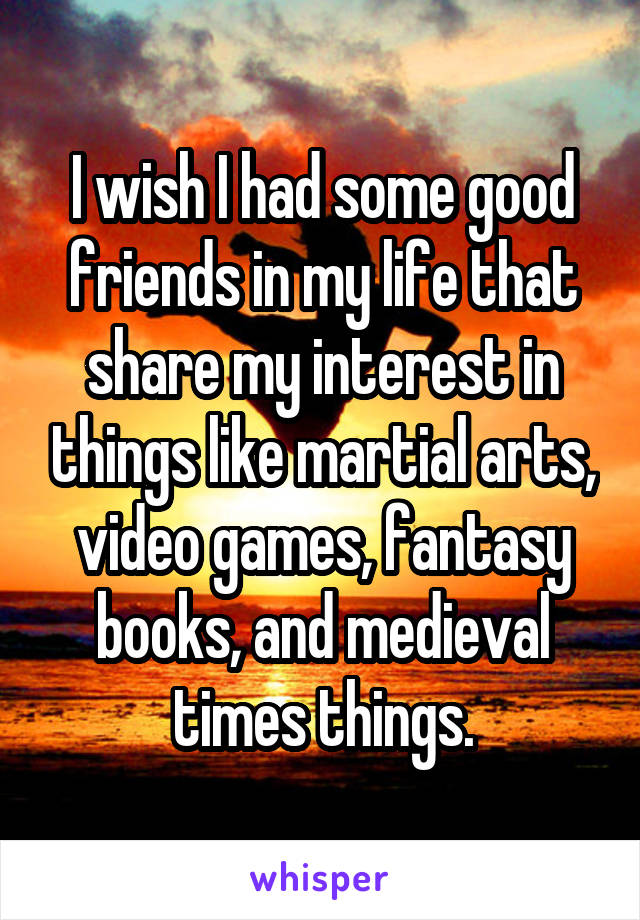 I wish I had some good friends in my life that share my interest in things like martial arts, video games, fantasy books, and medieval times things.