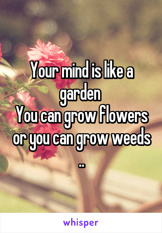 Your mind is like a garden 
You can grow flowers or you can grow weeds ..