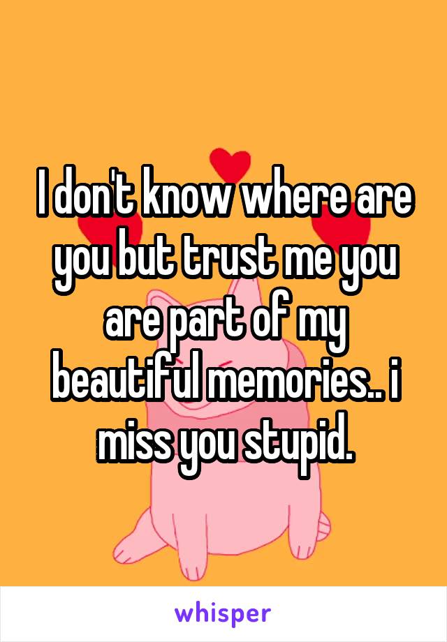 I don't know where are you but trust me you are part of my beautiful memories.. i miss you stupid.