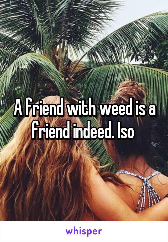 A friend with weed is a friend indeed. Iso 