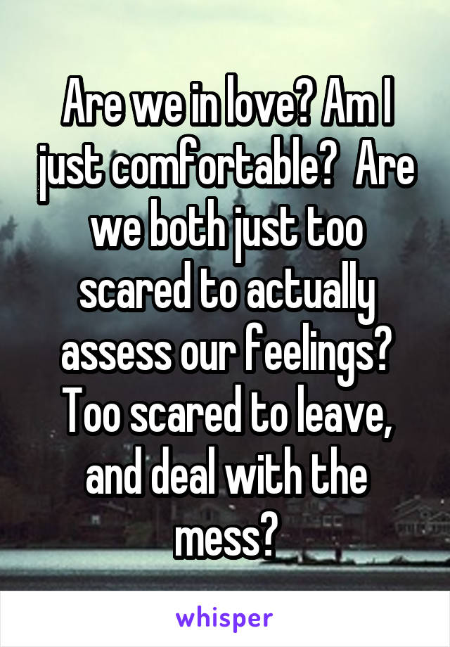 Are we in love? Am I just comfortable?  Are we both just too scared to actually assess our feelings? Too scared to leave, and deal with the mess?