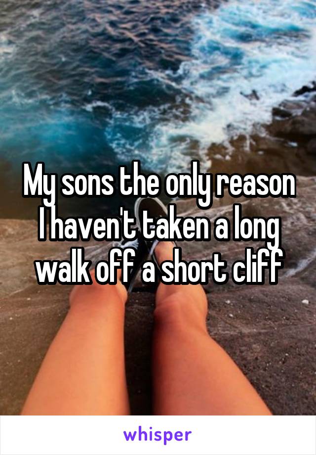 My sons the only reason I haven't taken a long walk off a short cliff