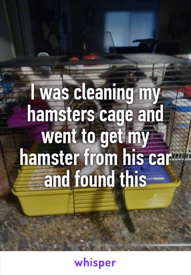 I was cleaning my hamsters cage and went to get my hamster from his car and found this