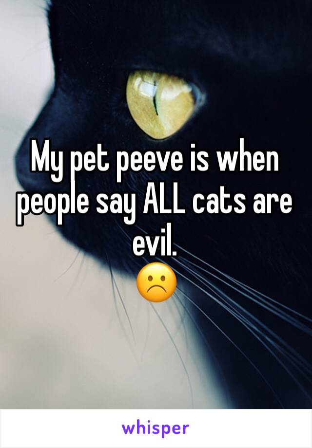 My pet peeve is when people say ALL cats are evil.
☹️