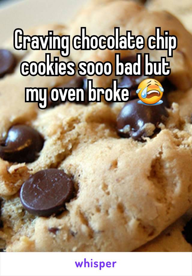 Craving chocolate chip cookies sooo bad but my oven broke 😭