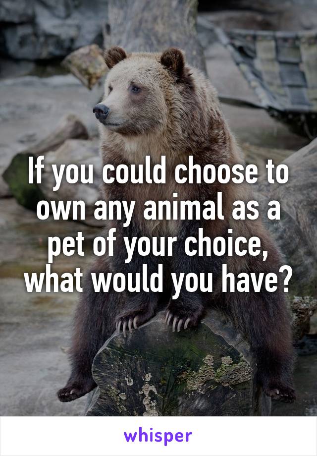 If you could choose to own any animal as a pet of your choice, what would you have?