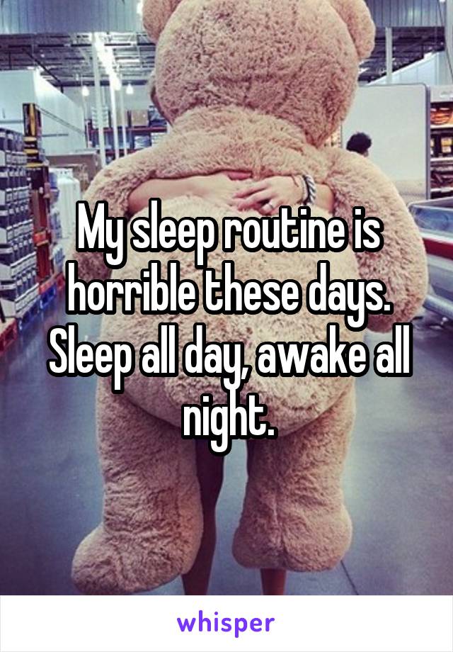 My sleep routine is horrible these days.
Sleep all day, awake all night.