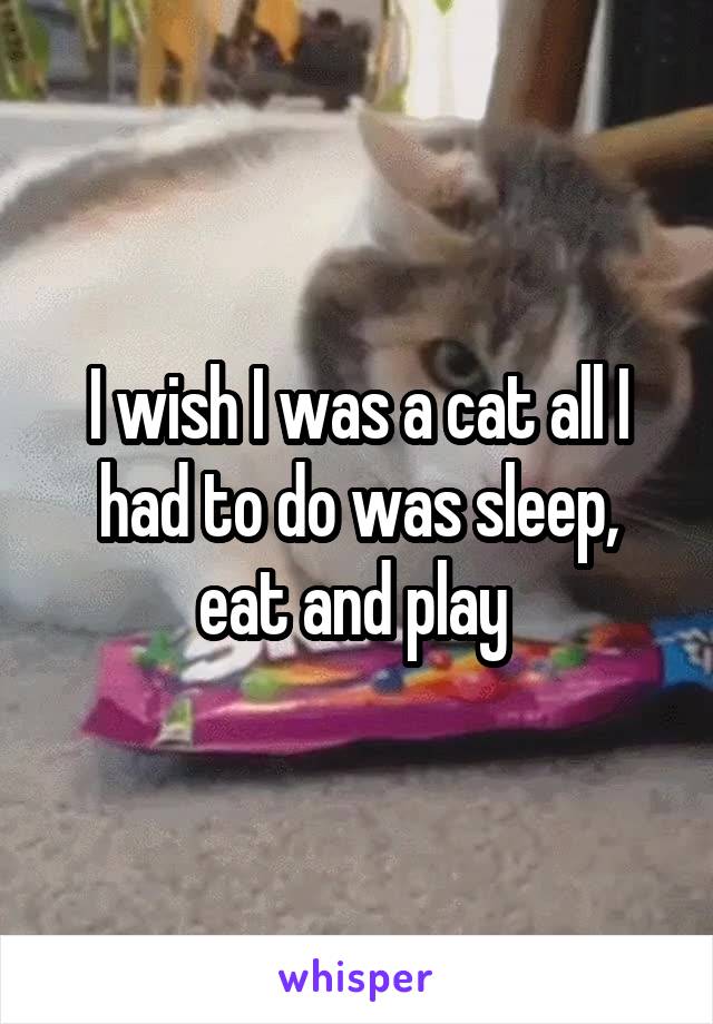 I wish I was a cat all I had to do was sleep, eat and play 