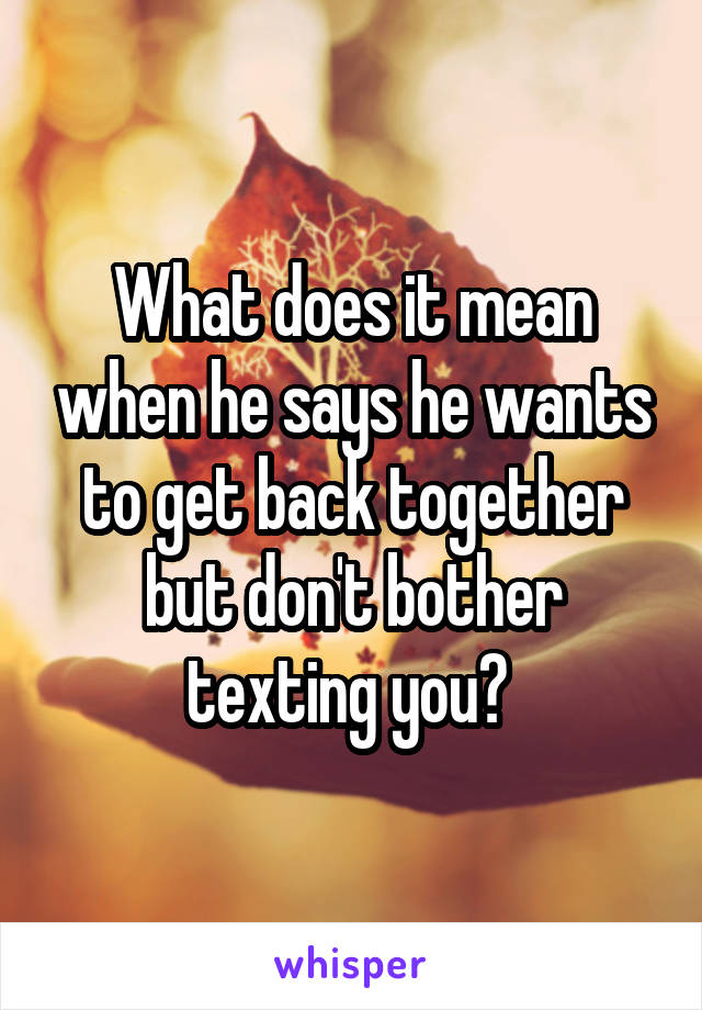 What does it mean when he says he wants to get back together but don't bother texting you? 