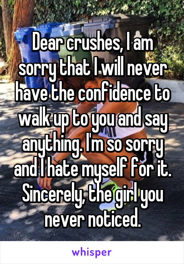 Dear crushes, I am sorry that I will never have the confidence to walk up to you and say anything. I'm so sorry and I hate myself for it. Sincerely, the girl you never noticed.