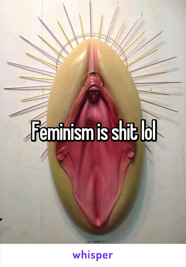 Feminism is shit lol