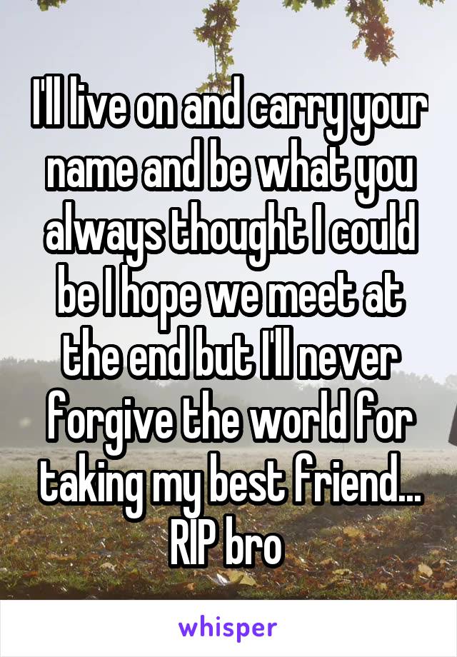 I'll live on and carry your name and be what you always thought I could be I hope we meet at the end but I'll never forgive the world for taking my best friend... RIP bro 