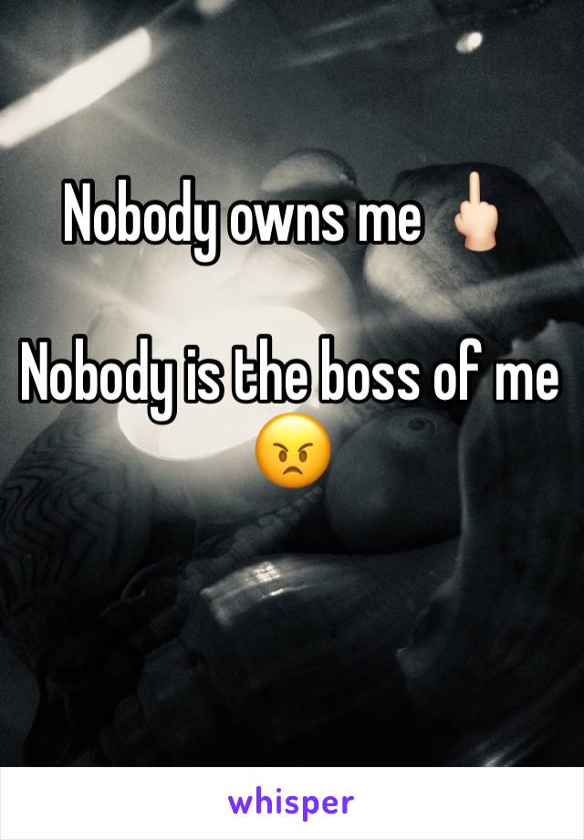 Nobody owns me 🖕🏻

Nobody is the boss of me 😠