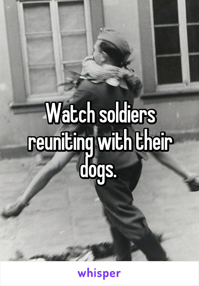 Watch soldiers reuniting with their dogs. 