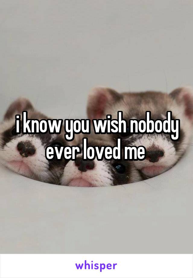 i know you wish nobody ever loved me 