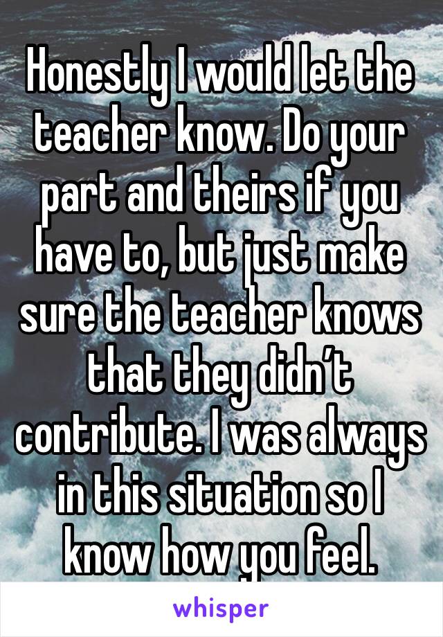 Honestly I would let the teacher know. Do your part and theirs if you have to, but just make sure the teacher knows that they didn’t contribute. I was always in this situation so I know how you feel. 