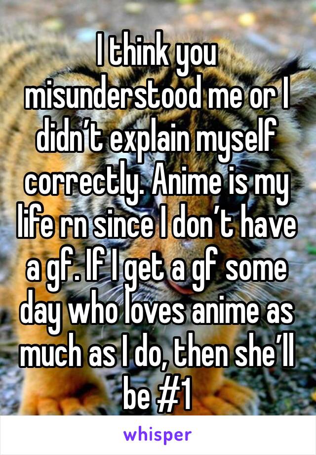 I think you misunderstood me or I didn’t explain myself correctly. Anime is my life rn since I don’t have a gf. If I get a gf some day who loves anime as much as I do, then she’ll be #1 