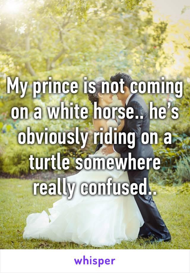 My prince is not coming on a white horse.. he’s obviously riding on a turtle somewhere really confused..