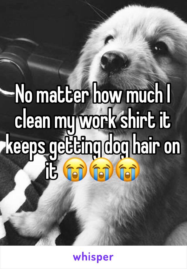 No matter how much I clean my work shirt it keeps getting dog hair on it 😭😭😭