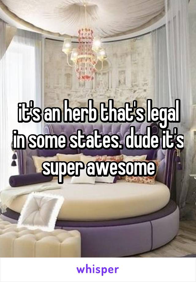 it's an herb that's legal in some states. dude it's super awesome