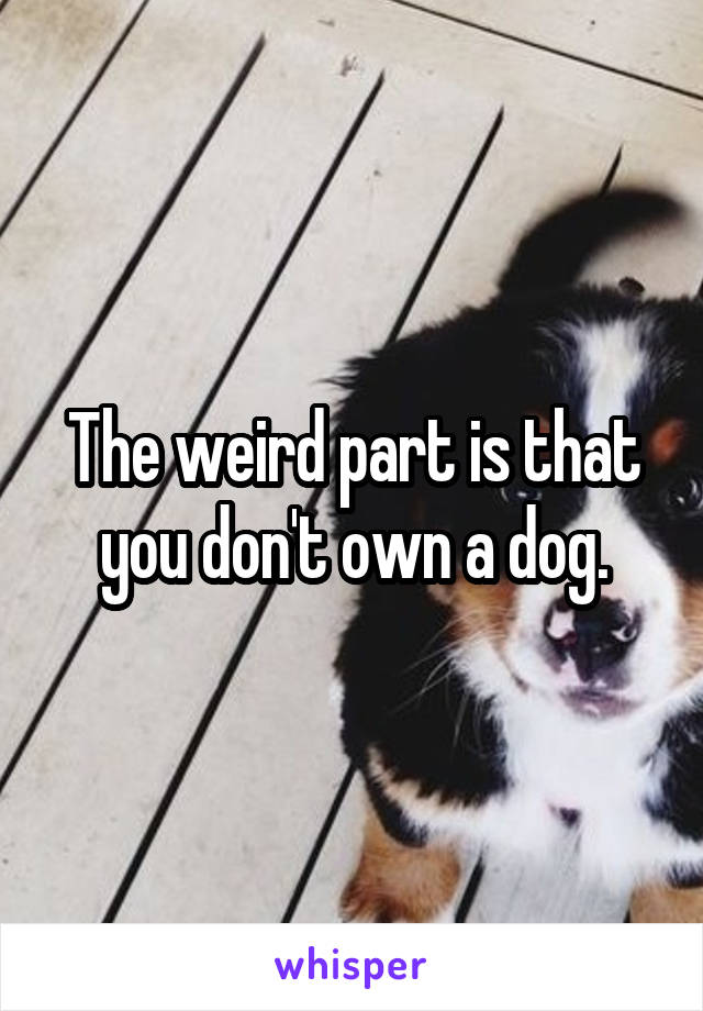 The weird part is that you don't own a dog.