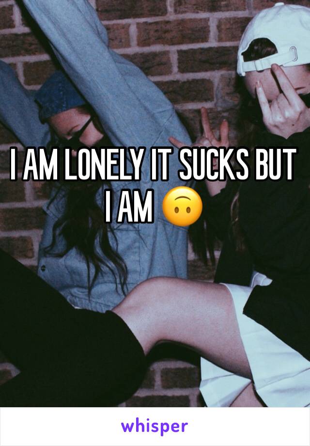 I AM LONELY IT SUCKS BUT I AM 🙃