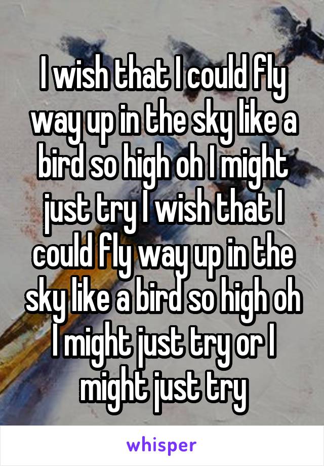 I wish that I could fly way up in the sky like a bird so high oh I might just try I wish that I could fly way up in the sky like a bird so high oh I might just try or I might just try