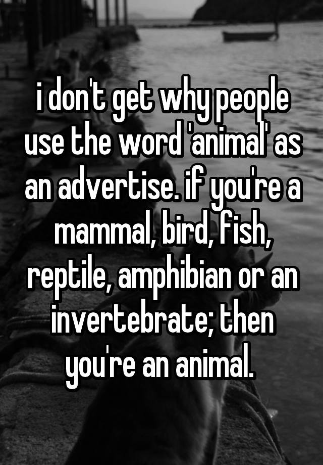 i-don-t-get-why-people-use-the-word-animal-as-an-advertise-if-you-re