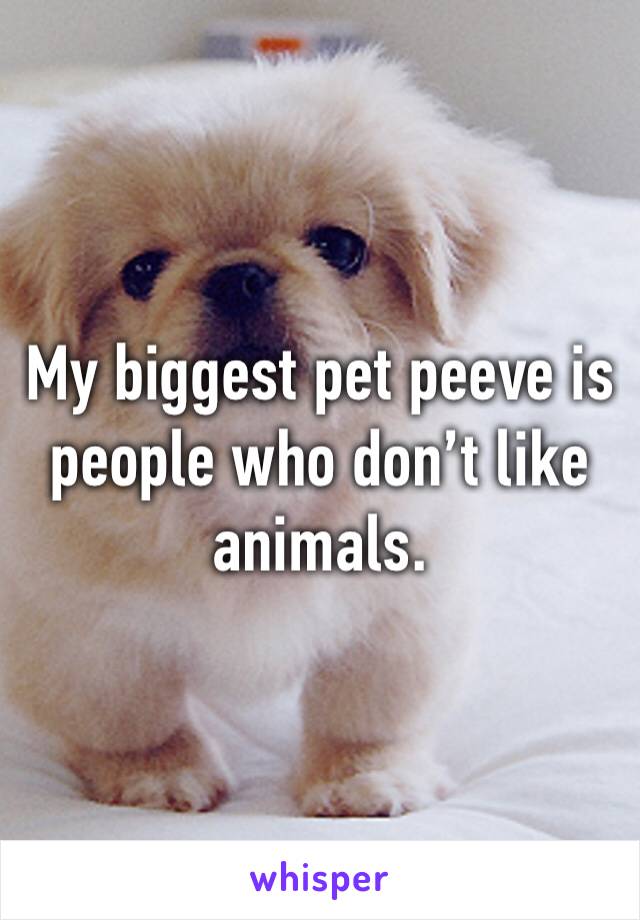 My biggest pet peeve is people who don’t like animals.