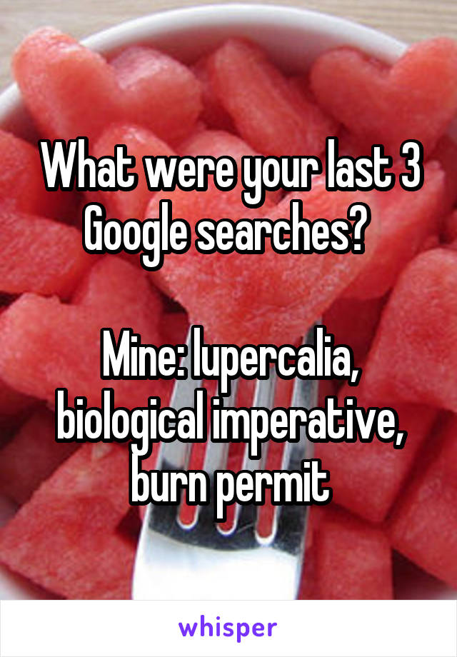 What were your last 3 Google searches? 

Mine: lupercalia, biological imperative, burn permit
