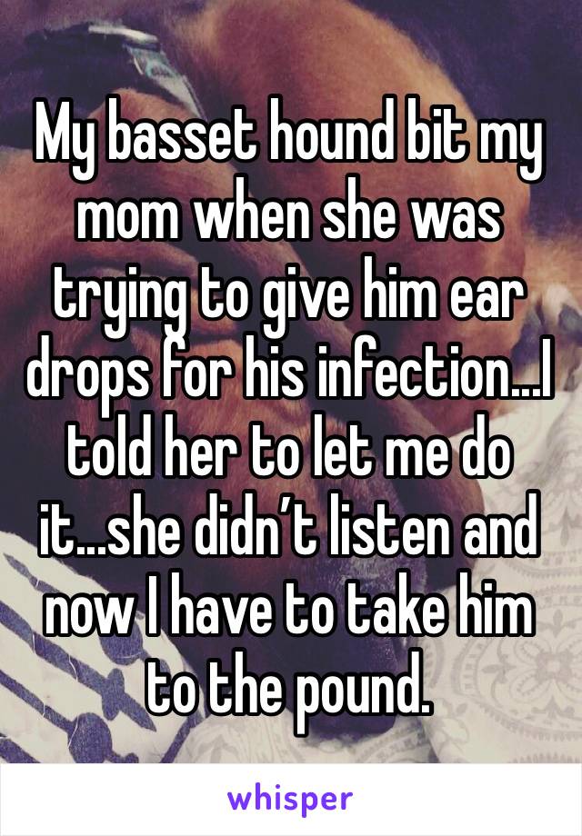 My basset hound bit my mom when she was trying to give him ear drops for his infection...I told her to let me do it...she didn’t listen and now I have to take him to the pound. 