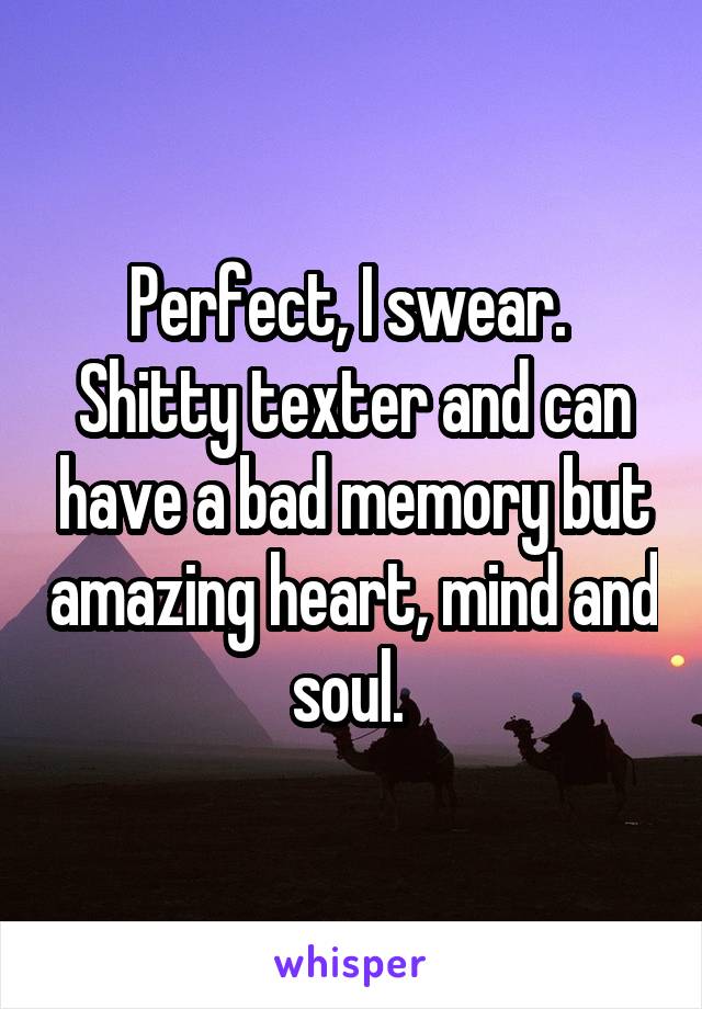 Perfect, I swear. 
Shitty texter and can have a bad memory but amazing heart, mind and soul. 